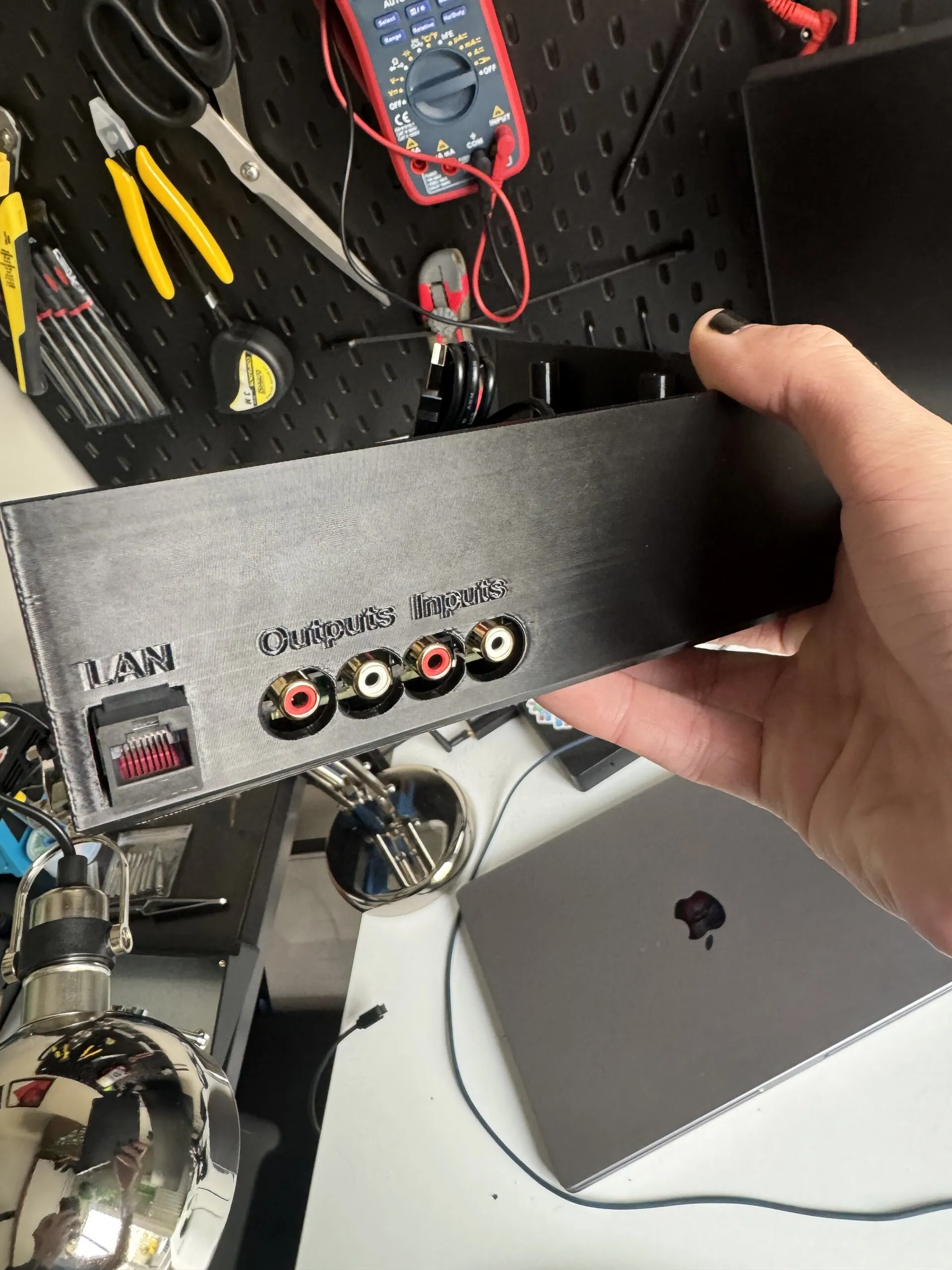 A hand holds up the back of a black printed box: raised lettering reads LAN above an Ethernet socket, Outputs above two RCA jacks and Inputs above two more, red and white.